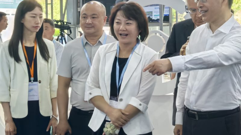 汽车滤清器代工：如何规避潜在风险，确保品质**